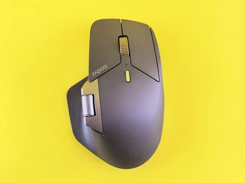 Les tendances souris à suivre cette année en France