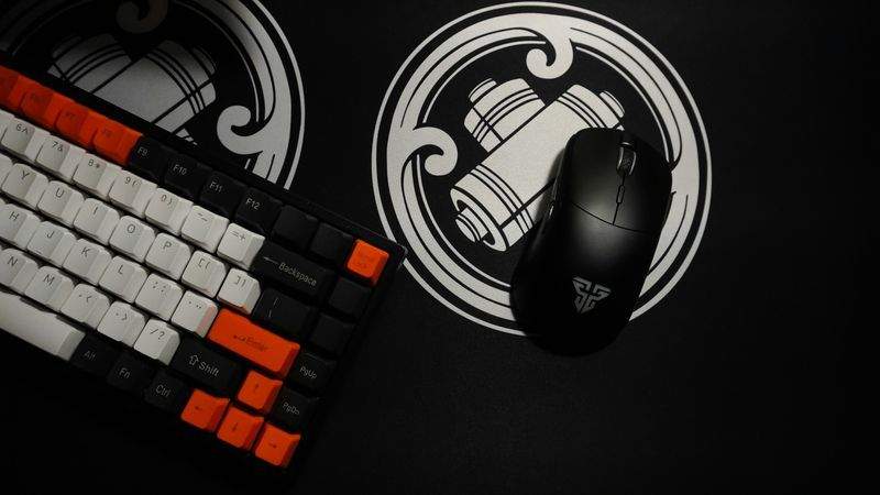 Souris & Co France 13