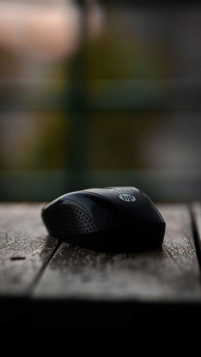 Souris & Co France 9